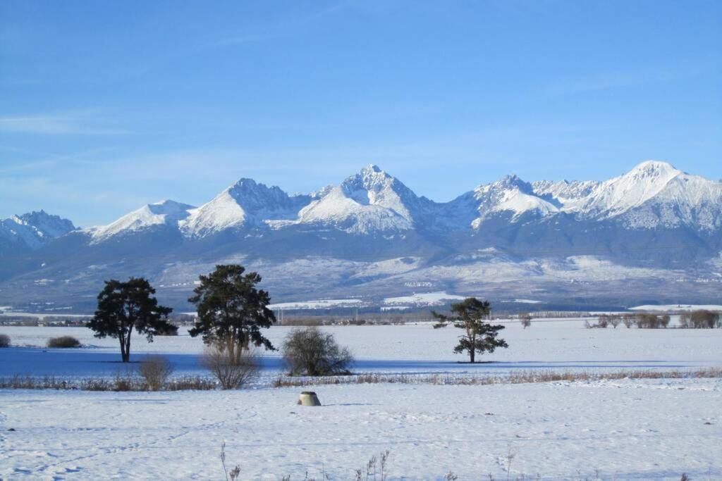 Tatra Mountains View Open-Space Apartment, N.92 Poprad Eksteriør billede